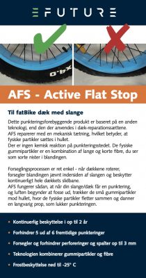 AFS 1 1