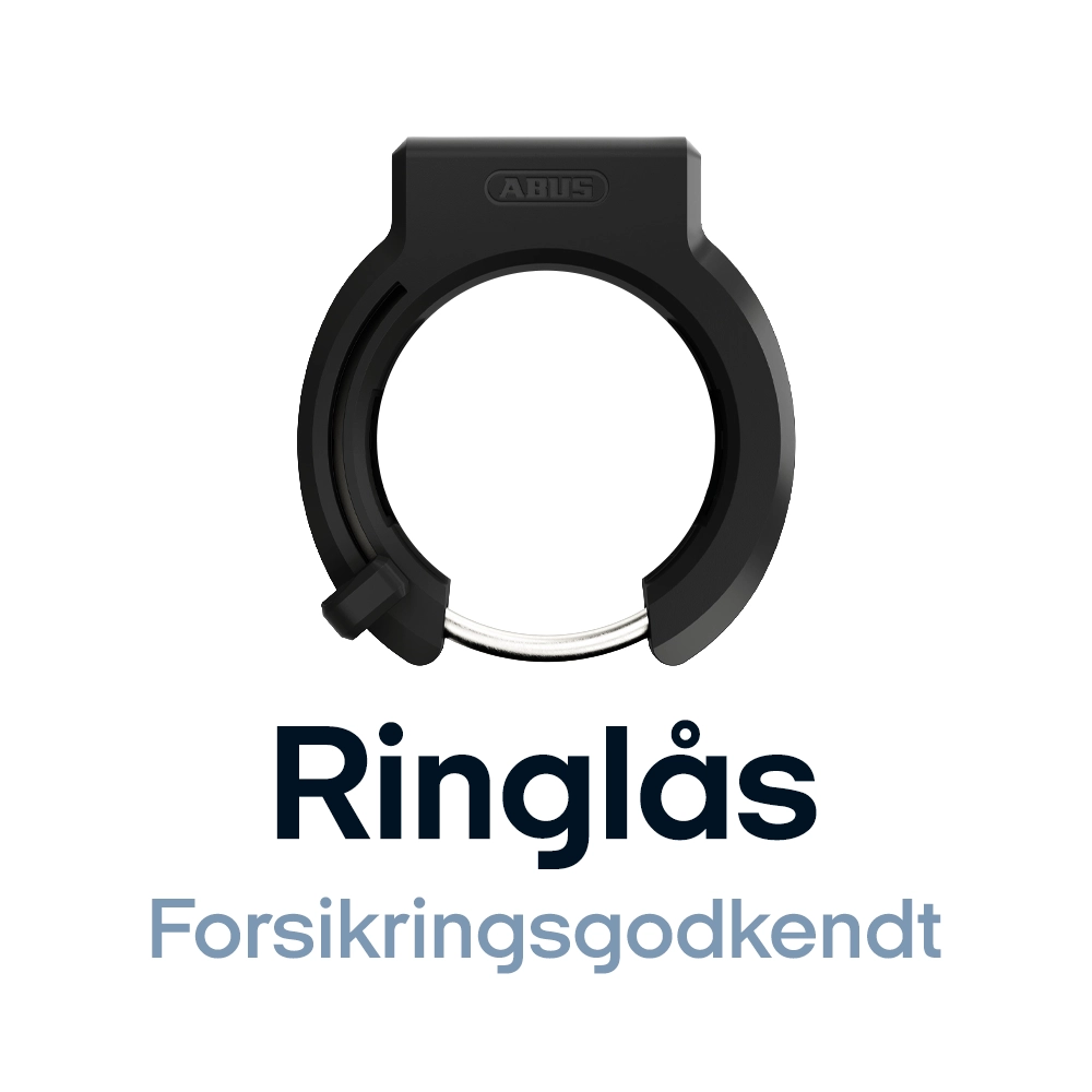 efuture-ringlaas