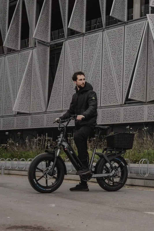 efuture elcykel emaxi v2