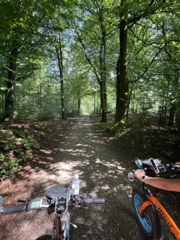 504381989 10161902792067858 6161900169719581550 n