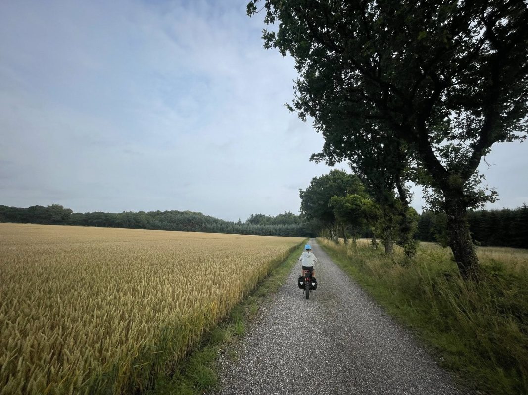 518285003 10161901410217858 2805897778887232661 n