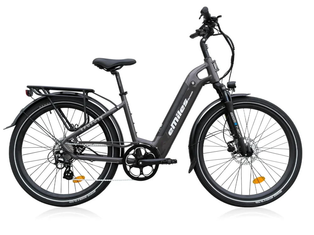 Alternative view of eMiles Dynamic - Gråbrun