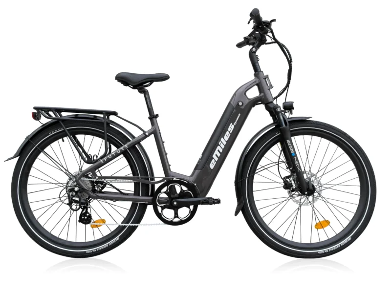 Alternative view of eMiles Dynamic - Gråbrun