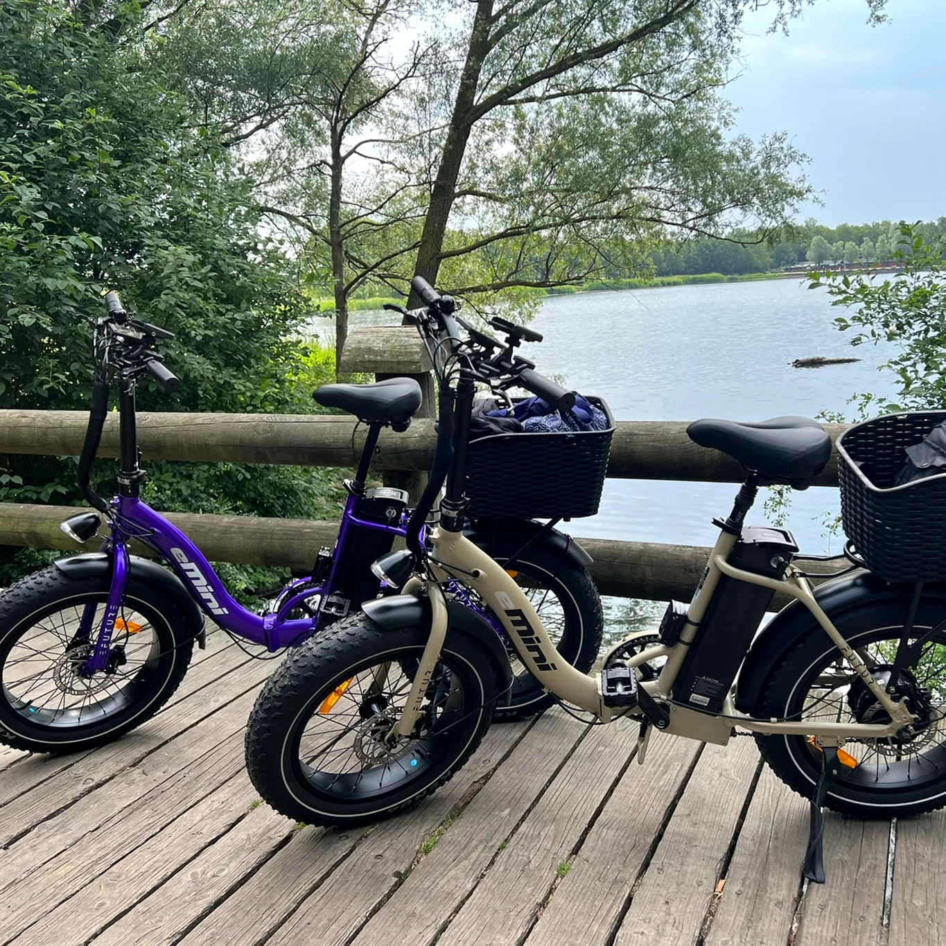 EFUTURE eMini Low Fatbike Elcykel Lilla og sand ved sø