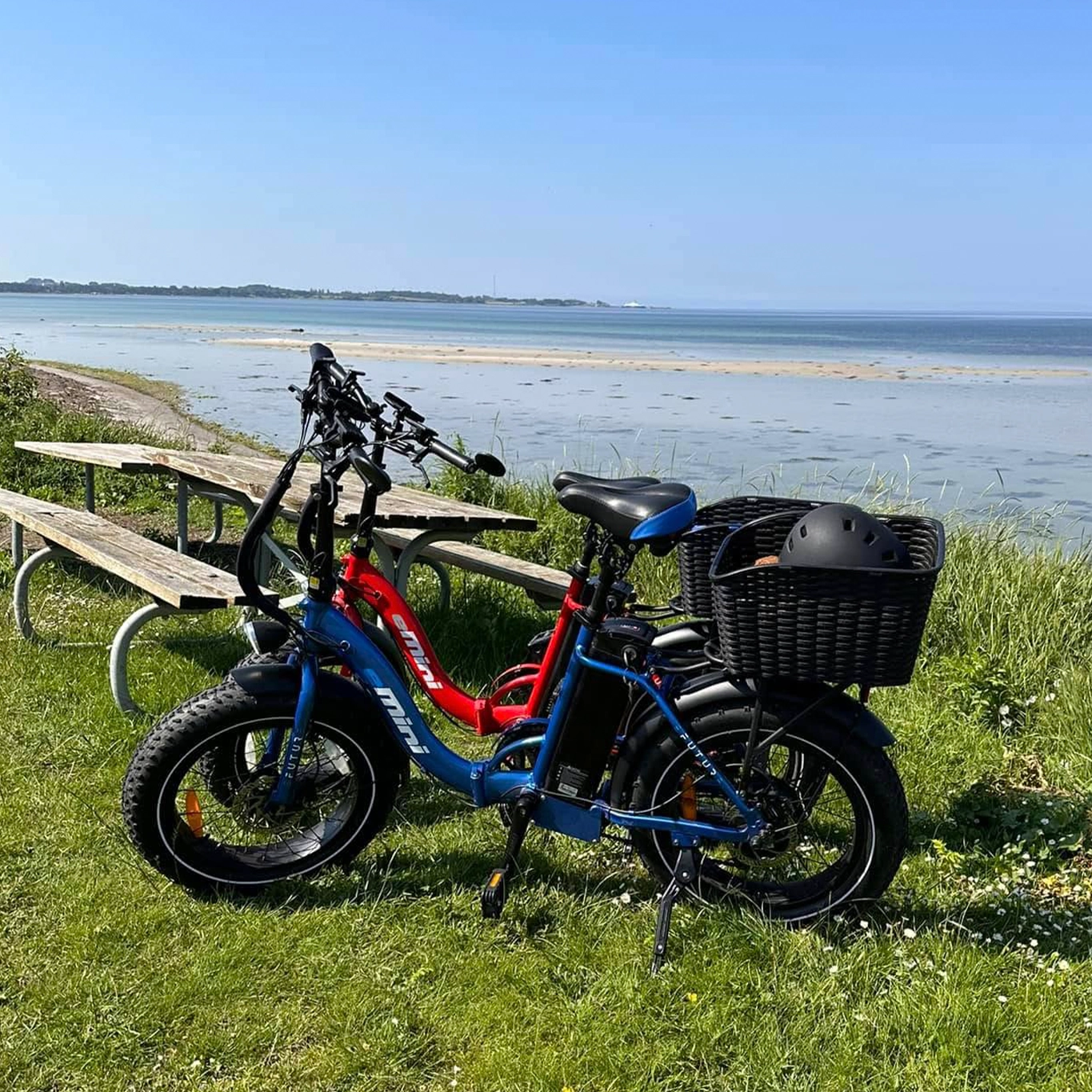 EFUTURE eMini Fatbike Elcykel Rød og Blå