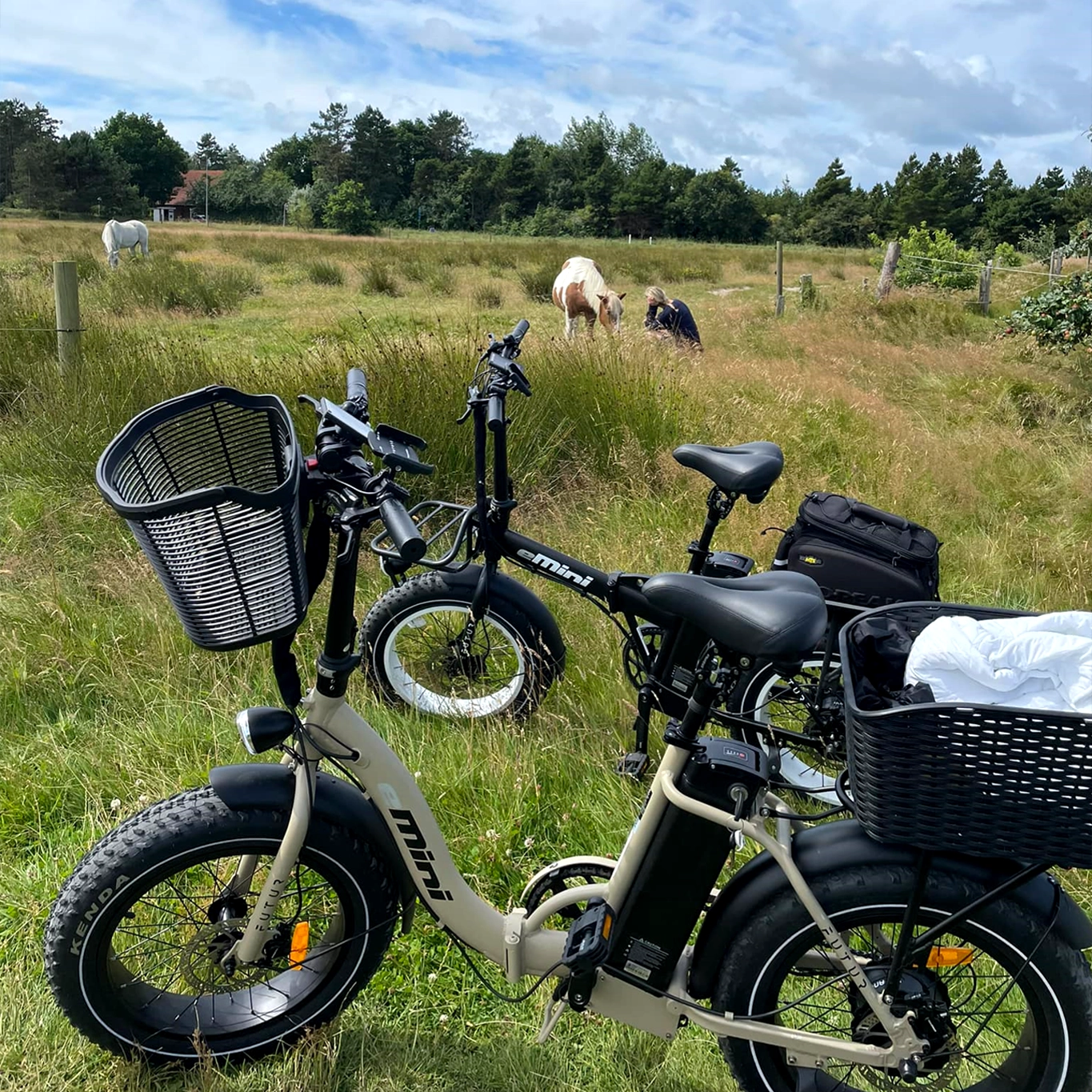 EFUTURE eMini Fatbike Elcykel Sort og sandfarvet
