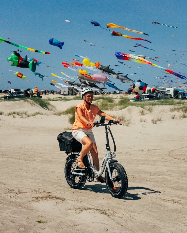 Fatbikes