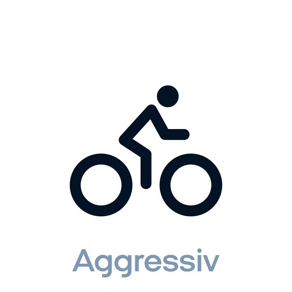 siddeposition-aggressiv-1